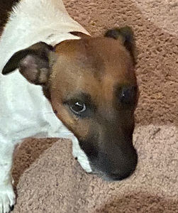 Meet your Posher, Mika